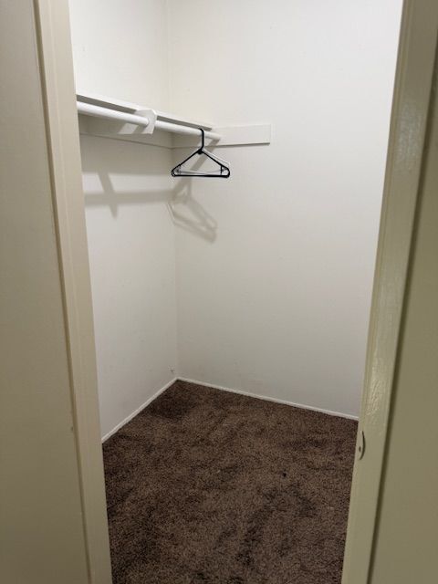 979 Springfield St in Upland, CA - Building Photo - Building Photo