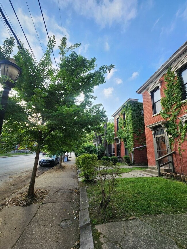 114 St Catherine St in Louisville, KY - Building Photo - Building Photo