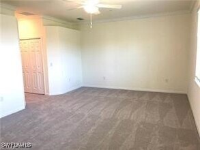 11888 Arboretum Run Dr in Ft. Myers, FL - Building Photo - Building Photo