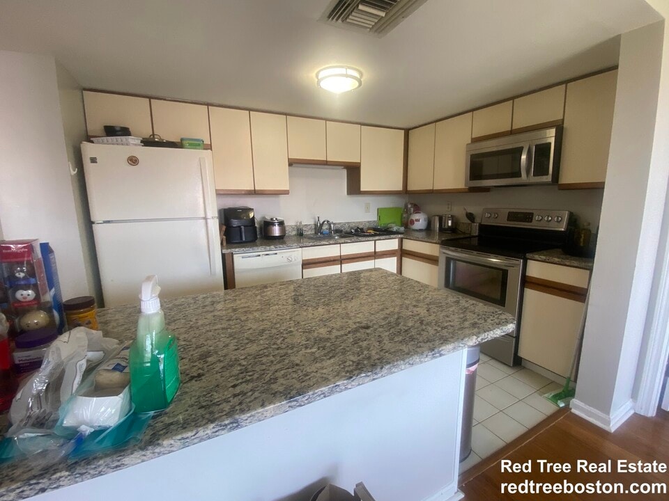 85 Brainerd Rd, Unit 3 in Boston, MA - Building Photo