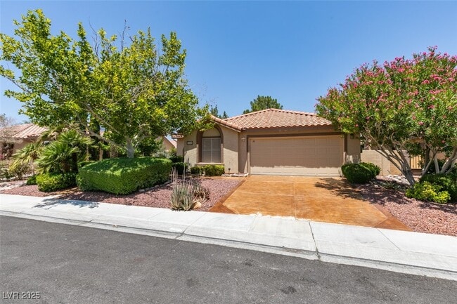 1134 Healing Waters Ln in North Las Vegas, NV - Building Photo - Building Photo