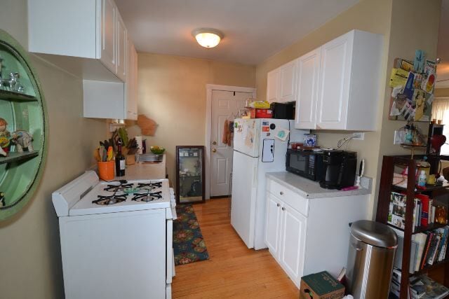 3843 N Greenview Ave, Unit 2 in Chicago, IL - Foto de edificio - Building Photo