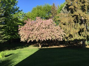 5 Graffin Dr in Latham, NY - Building Photo - Building Photo