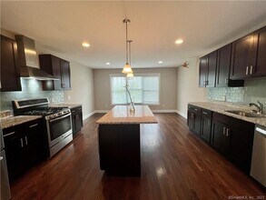 318 Copper Square Dr in Bethel, CT - Building Photo - Building Photo