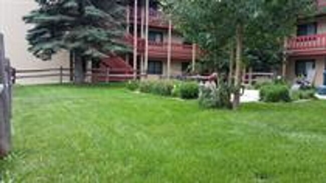 214 S Harris St in Breckenridge, CO - Building Photo - Building Photo