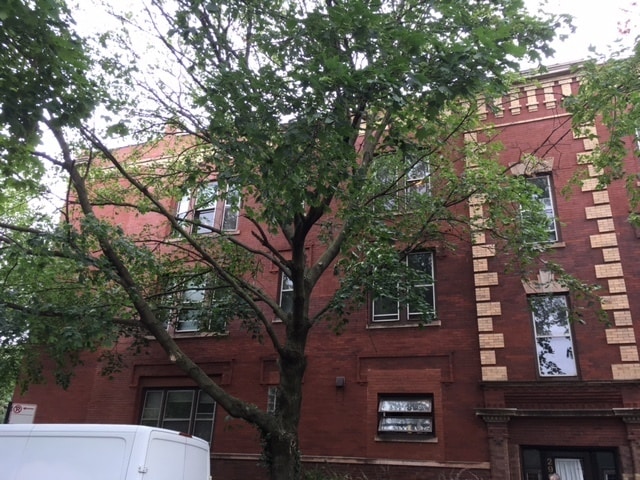 property at 2906 N Greenview Ave