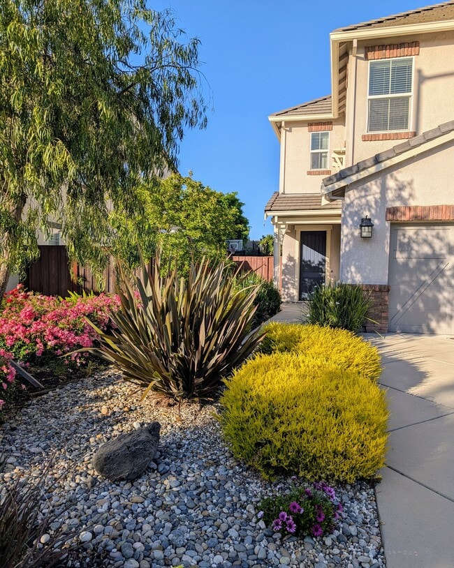 16650 San Gabriel Ct in Morgan Hill, CA - Building Photo - Building Photo