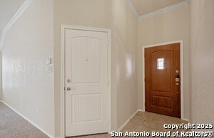 341 Buckboard Ln in Cibolo, TX - Building Photo - Building Photo