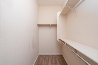 1821 W Morse Dr in Anthem, AZ - Building Photo - Building Photo