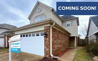 9115 Cinderhill Cove E in Memphis, TN - Building Photo