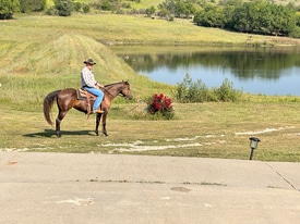 13325 Brush Creek Rd in Westmoreland, KS - Building Photo