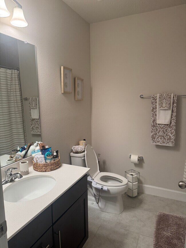 18039 Turning Leaf Cir in Land O Lakes, FL - Building Photo - Building Photo