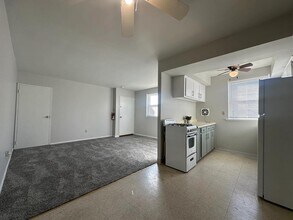 4525 Lardner St in Philadelphia, PA - Building Photo - Building Photo