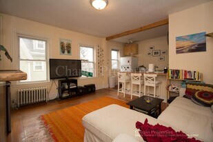 17 Kenwood St, Unit 1 in Brookline, MA - Building Photo