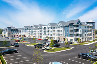 Everleigh Short Pump 55+ Active Adult Apartment Homes