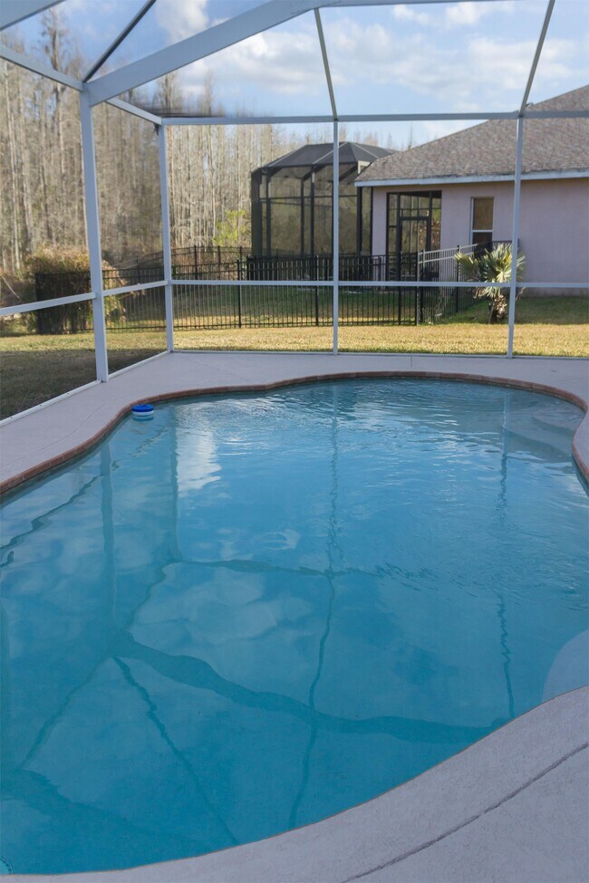 30534 Pecan Valley Loop in Wesley Chapel, FL - Building Photo - Building Photo