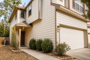 203 N Burberry Park Cir in Spring, TX - Building Photo