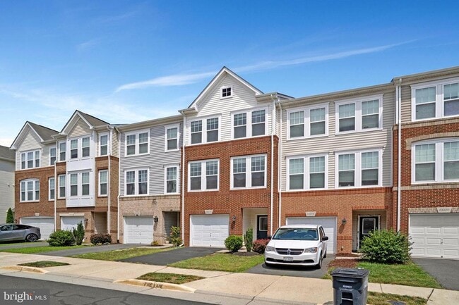 43316 Novi Terrace in Ashburn, VA - Building Photo - Building Photo