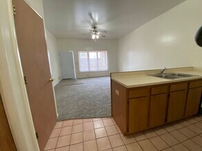 217 W Cross St, Unit 1 in Ypsilanti, MI - Foto de edificio - Building Photo
