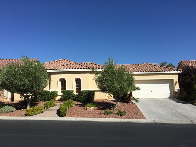 9924 Wonderful Day Dr in Las Vegas, NV - Foto de edificio - Building Photo
