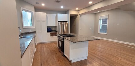 2131 W Grace St in Chicago, IL - Building Photo - Building Photo