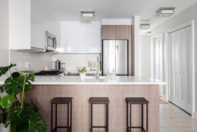 20 Haynes St, Unit 201 in Boston, MA - Building Photo - Building Photo