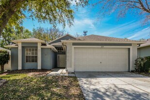 209 Chardonnay Pl in Valrico, FL - Building Photo