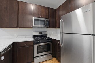 1625 W Howard St in Chicago, IL - Building Photo - Building Photo