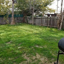 325 Falcon Dr in Vallejo, CA - Foto de edificio - Building Photo