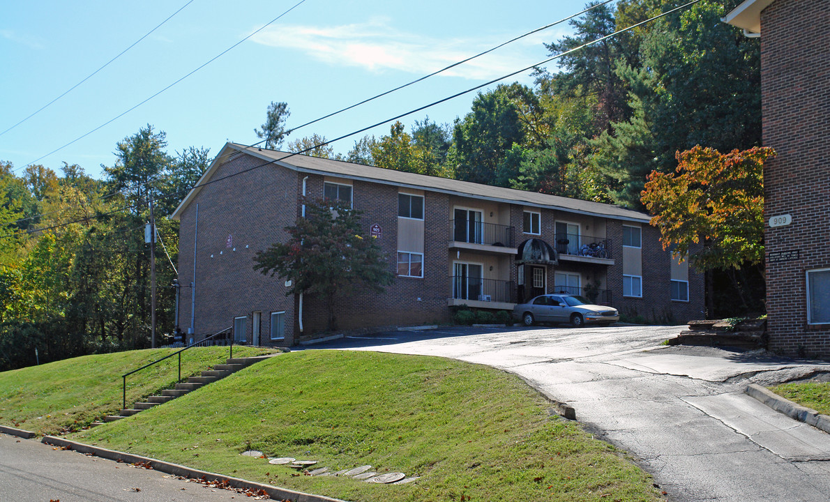 905 Teaberry Ln in Knoxville, TN - Building Photo