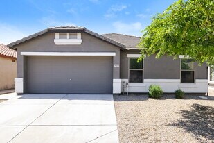 29420 N Blackfoot Daisy Dr in San Tan Valley, AZ - Building Photo