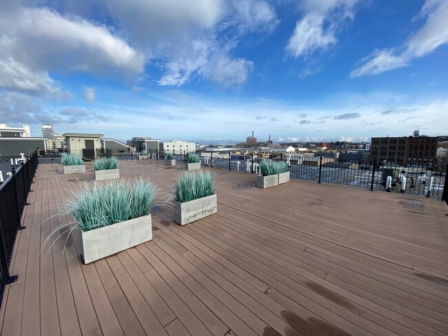 303 D St, Unit 3