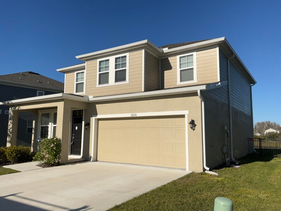 20256 Calla Lily Dr in Land O Lakes, FL - Building Photo