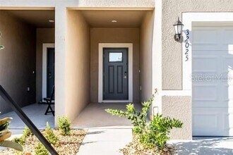 32025 Powderpuff Mimosa Dr in San Antonio, FL - Foto de edificio - Building Photo