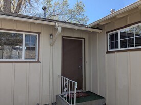 309 David St in Carson City, NV - Building Photo