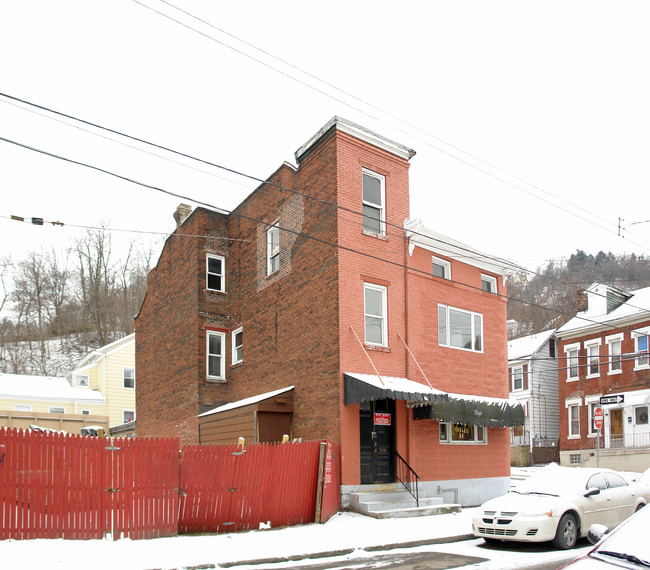 1100 Freyburg St in Pittsburgh, PA - Building Photo - Building Photo