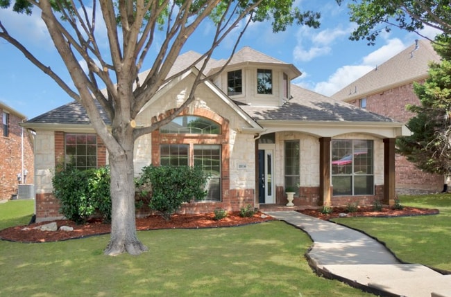 11036 Coralberry Dr in Frisco, TX - Building Photo - Building Photo