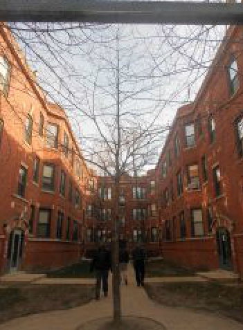 Pine Central Apartments in Chicago, IL - Building Photo - Building Photo