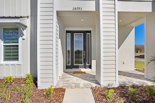 28793 Sweet Persimmon Dr in Wesley Chapel, FL - Building Photo - Building Photo