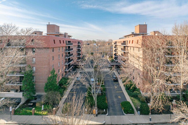 Amory House in Brookline, MA - Building Photo - Building Photo