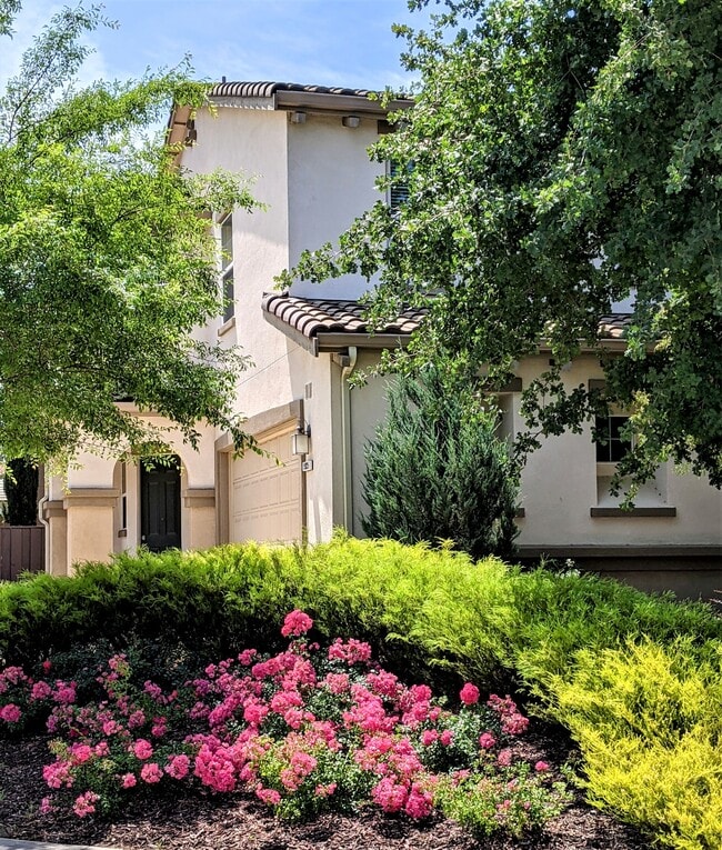 property at 15925 Piazza Way
