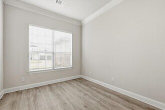 910 Cone Flower Dr in Prosper, TX - Building Photo - Building Photo