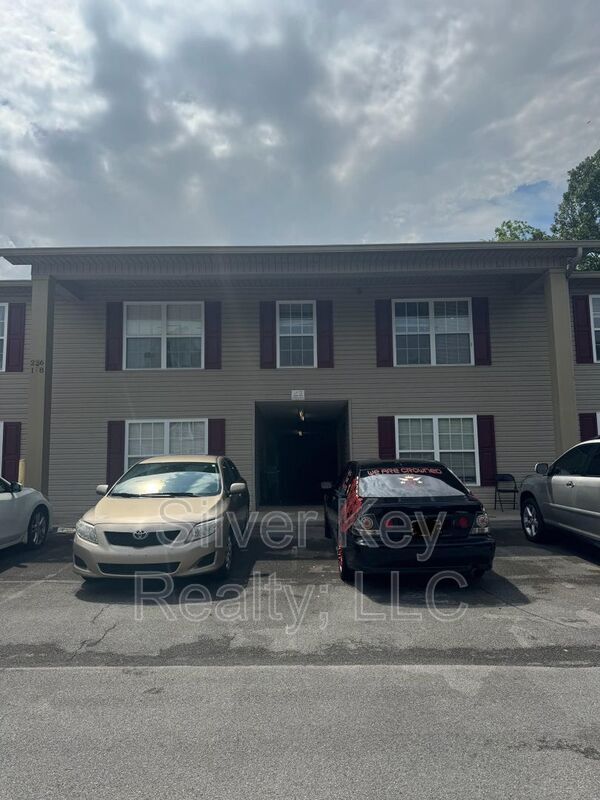 property at 236 Willow Creek Drive