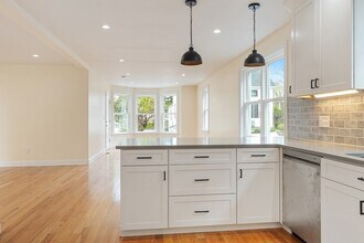 48 W Tremlett St, Unit 1 in Boston, MA - Building Photo - Building Photo