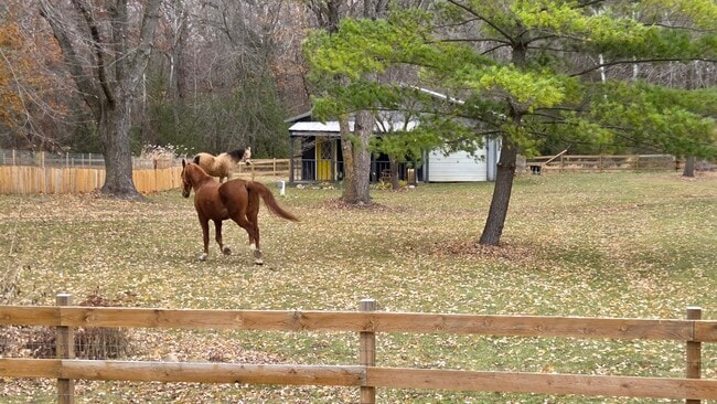 9500 Fox Valley Dr in Corcoran, MN - Building Photo - Building Photo