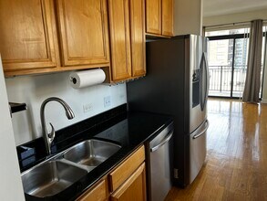 1529 S State St in Chicago, IL - Building Photo - Building Photo