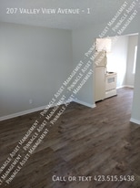207 Valley View Ave in Chattanooga, TN - Building Photo