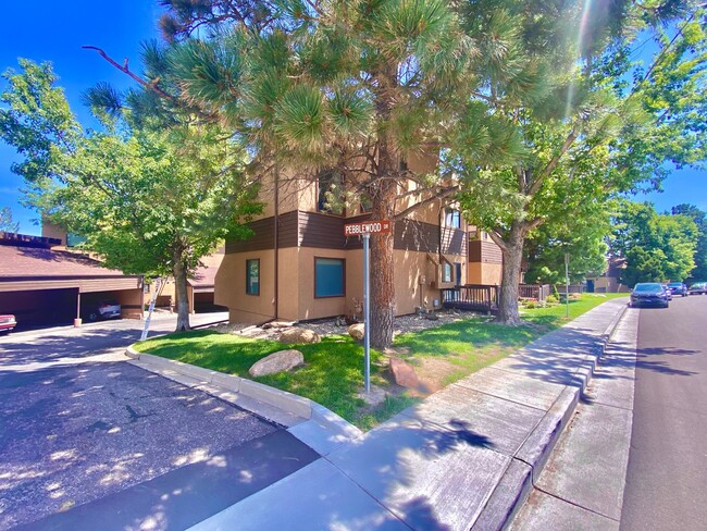 869 Pebblewood Dr in Colorado Springs, CO - Foto de edificio - Building Photo