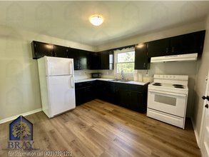 706 Meadowview Dr in Johnson City, TN - Foto de edificio - Building Photo