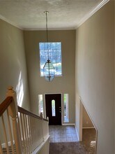 3911 Lady Atwell Ct in Missouri City, TX - Building Photo - Building Photo